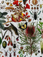 Natural World Tea Towel, 26" x16", botanist kitchen towel, Hostess gift, gift for bartender, natural world linen bar towel.